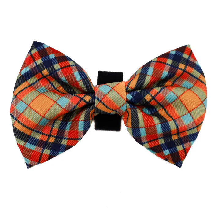 Tartan : Bow Tie
