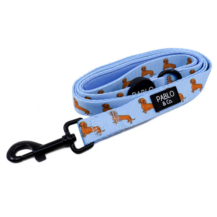 Dachshund: Dog Leash