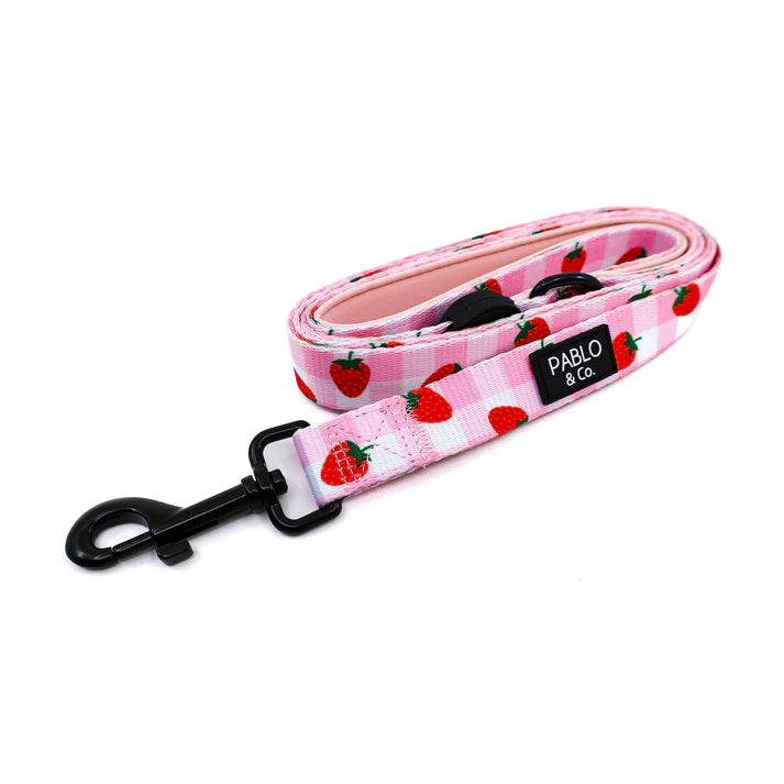 Strawberry Fiels : Dog Leash