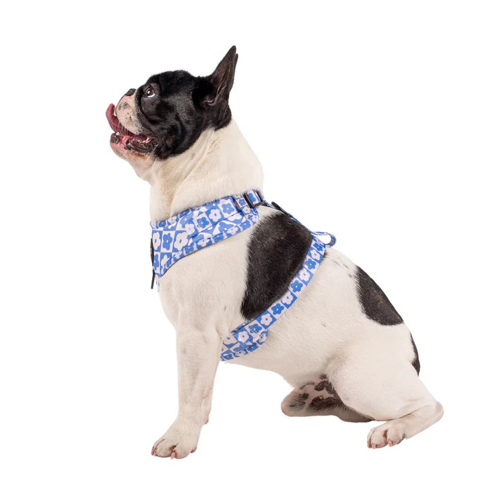 Blue Checkered Daisies: Adjustable Harness