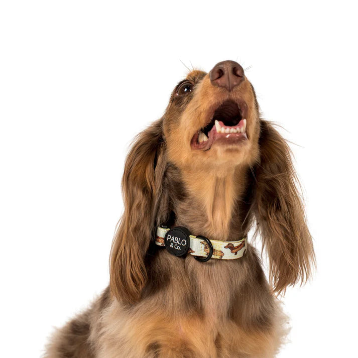 Wiener Dogs: Collar