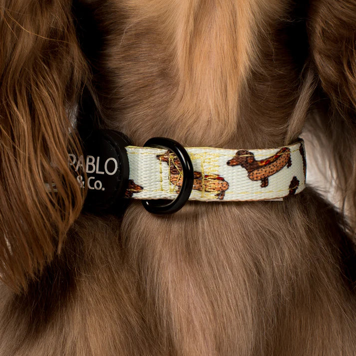 Wiener Dogs: Collar