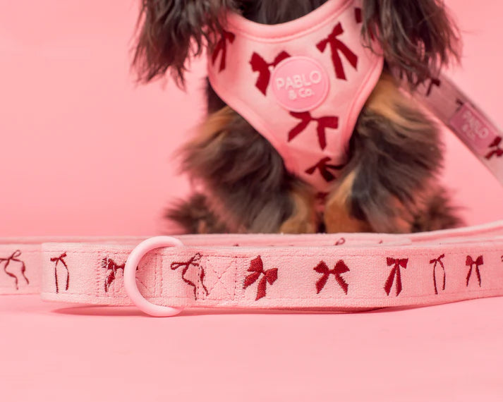 Velvet Blush Bows: Dog Leash
