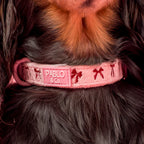 Velvet Blush Bows: Collar