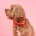 Harry Potter - Gryffondor: Bow Tie