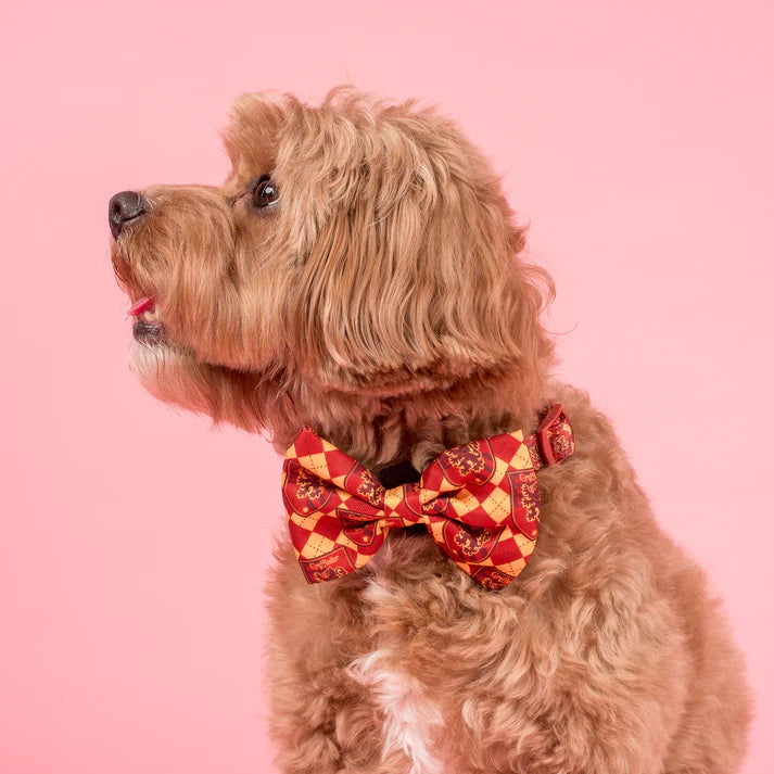 Harry Potter - Gryffondor: Bow Tie