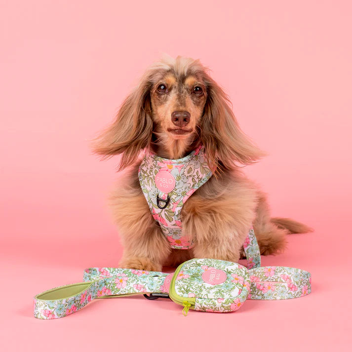 Flora & Fern: Dog Leash