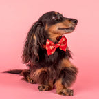 Henry Bear: Bow Tie