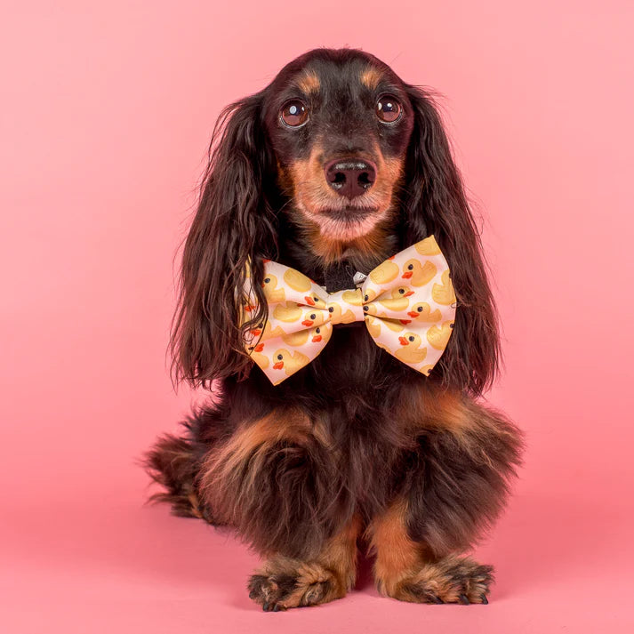 Rubber Ducky: Bow Tie