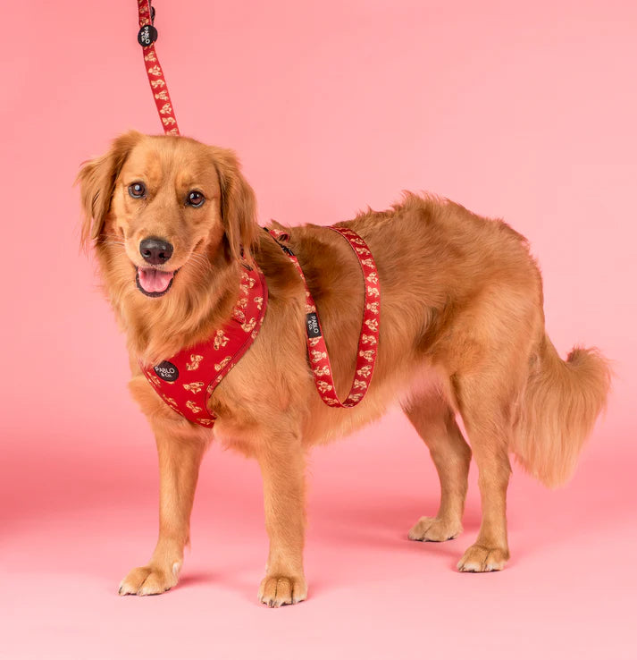 Henry Bear: Dog Leash