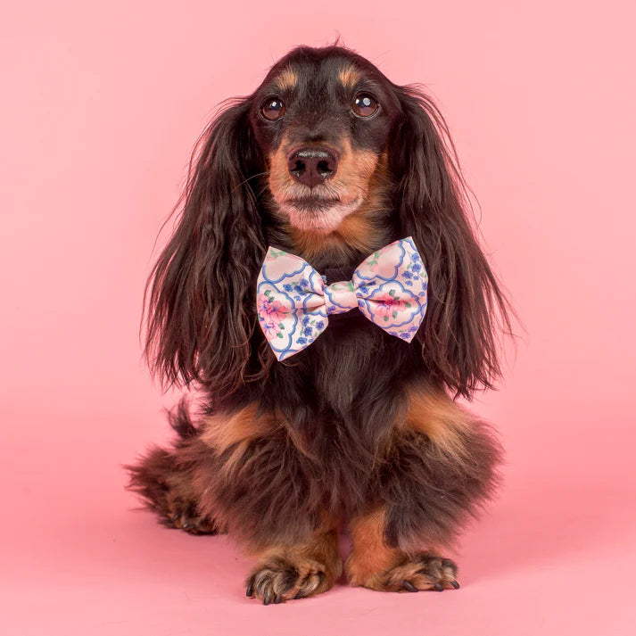 Petal: Bow Tie