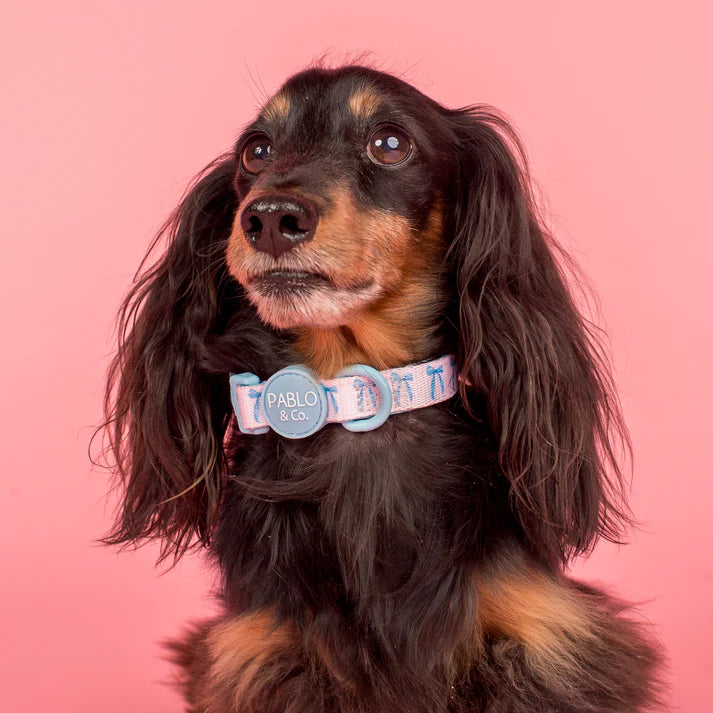 Baby Blue Bows: Collar