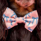 Baby Blue Bows: Bow Tie