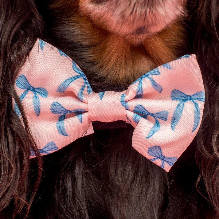 Baby Blue Bows: Bow Tie
