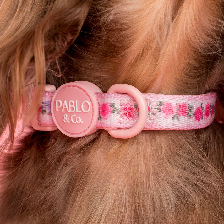 Vintage Rose: Collar