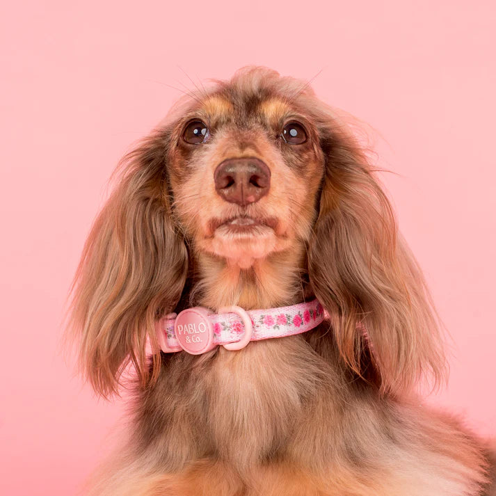 Vintage Rose: Collar