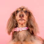 Vintage Rose: Collar