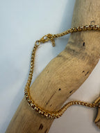 Collier Coquillage