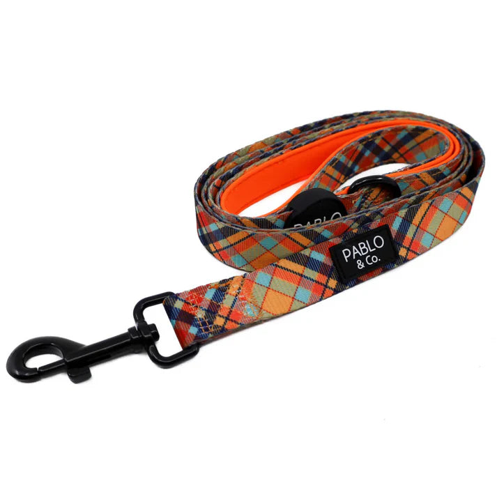 Tartan: Dog Leash