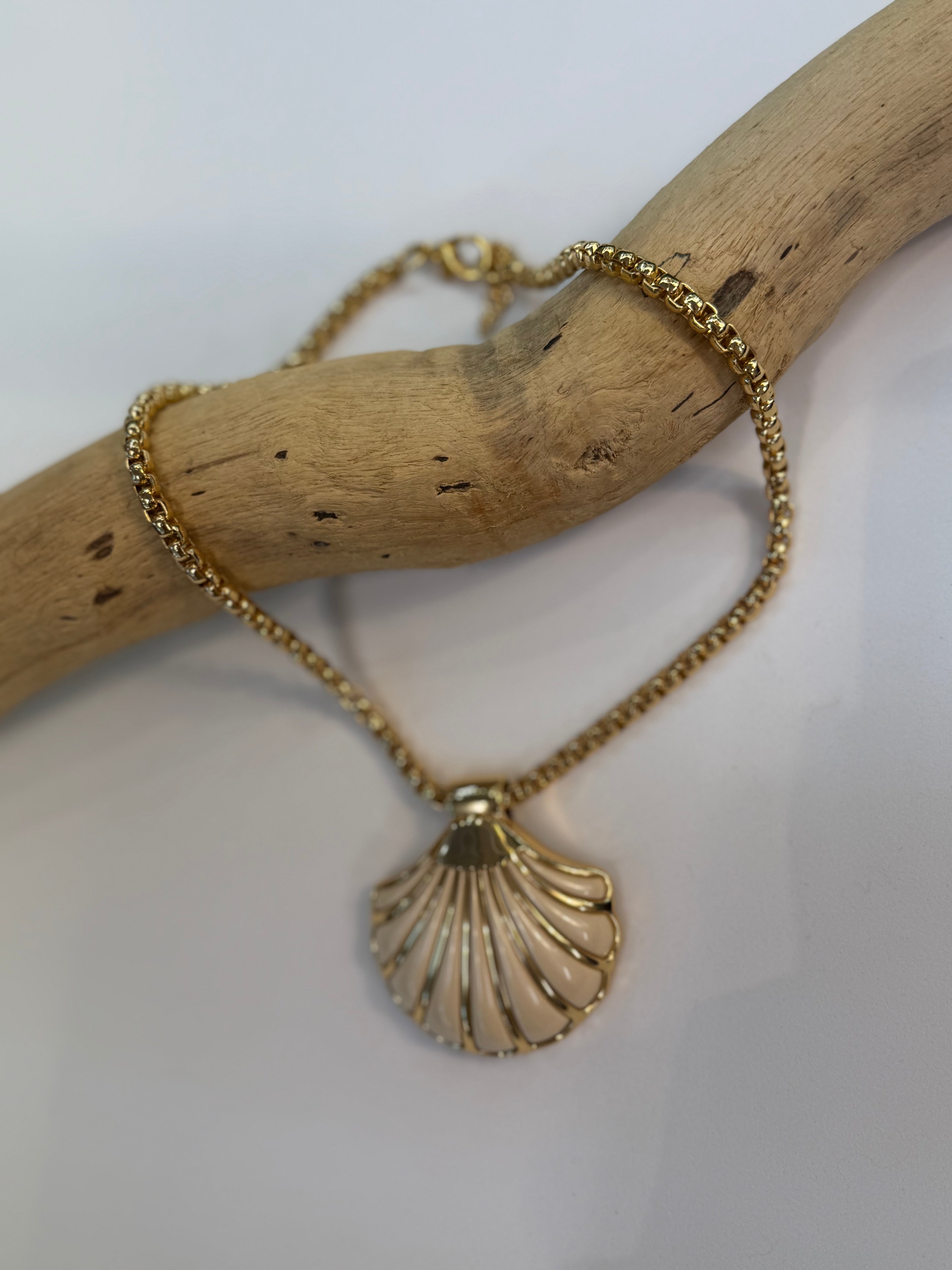 Collier Coquillage