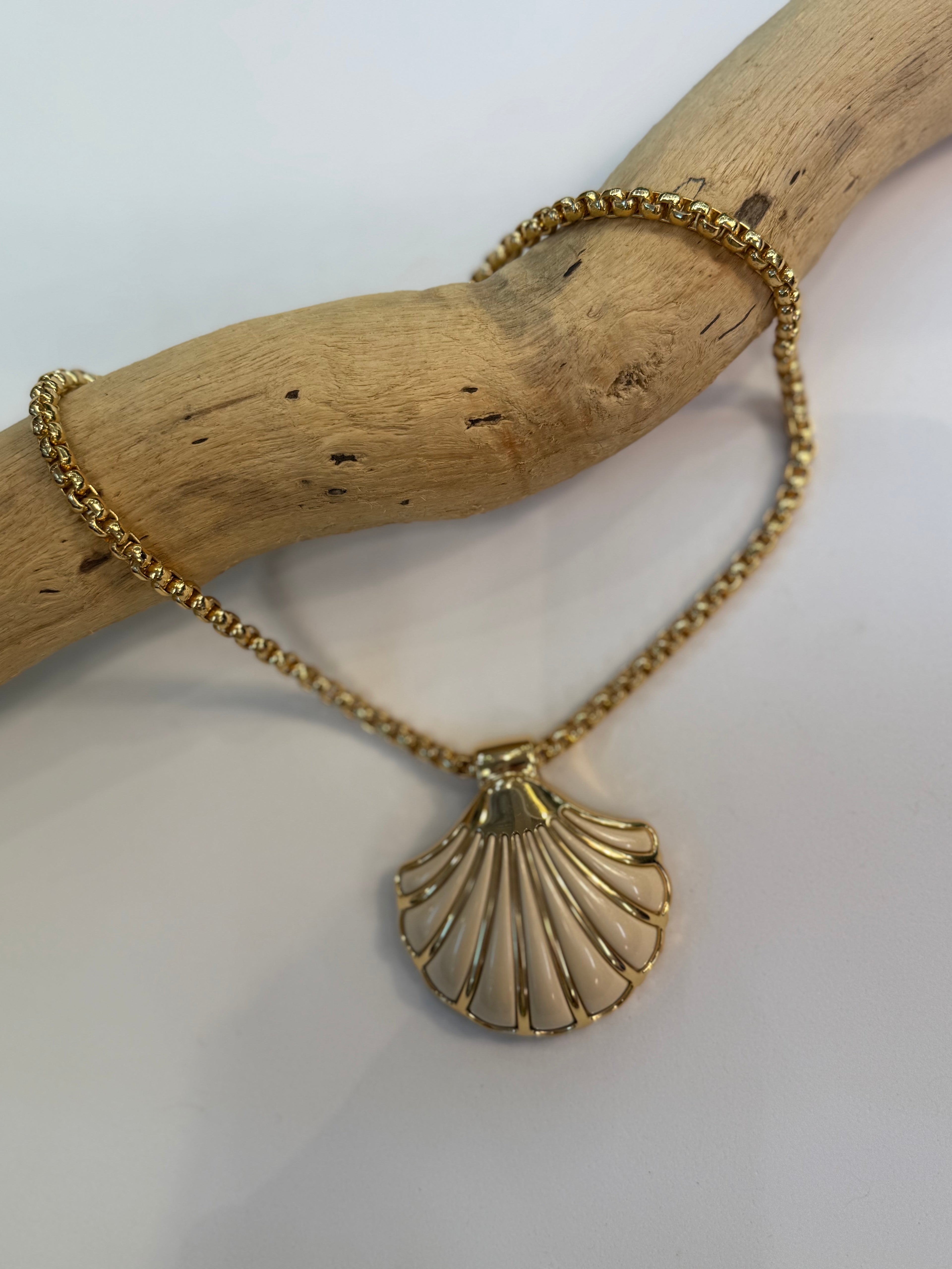 Collier Coquillage
