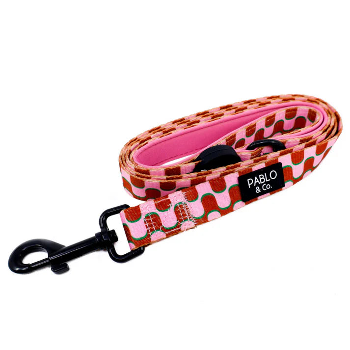 Mod Madness: Dog Leash