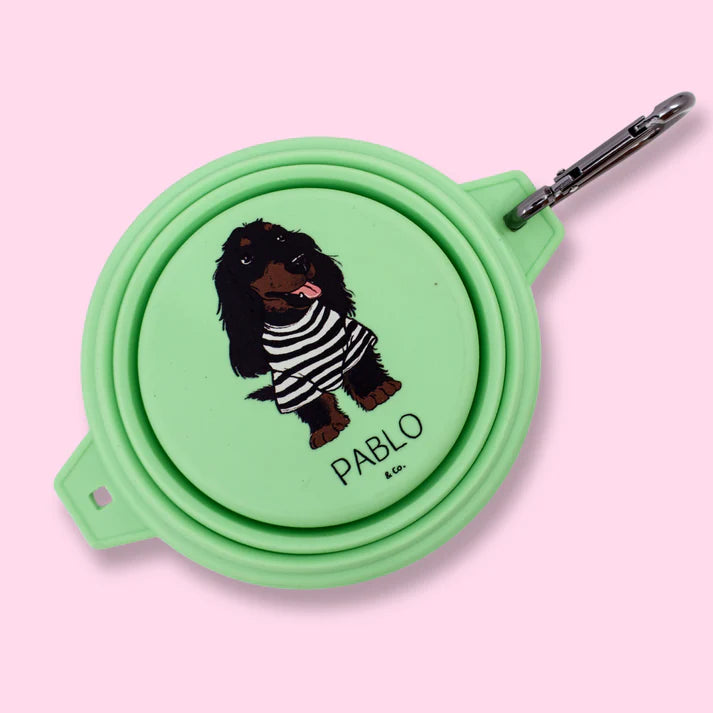 Gamelle pliable pour chien