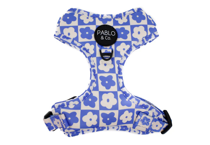 Blue Checkered Daisies: Adjustable Harness