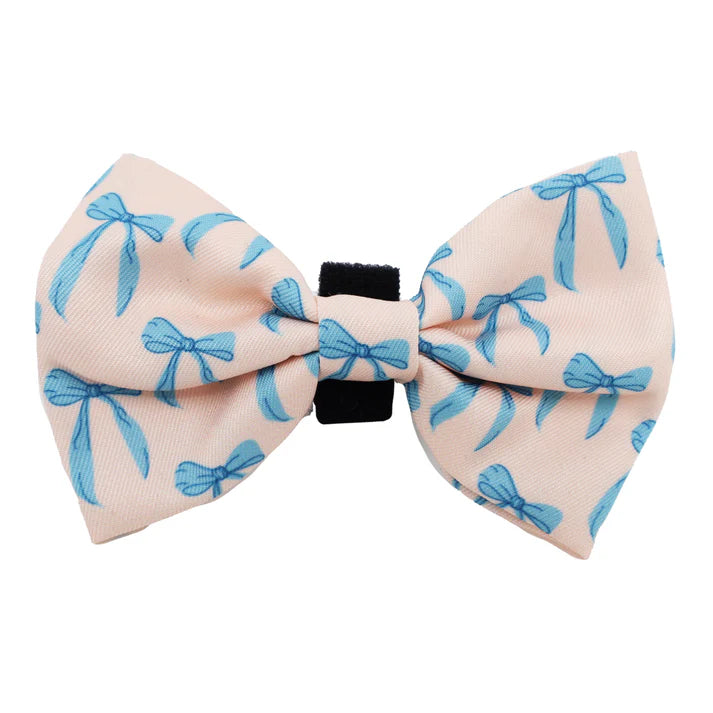 Baby Blue Bows: Bow Tie