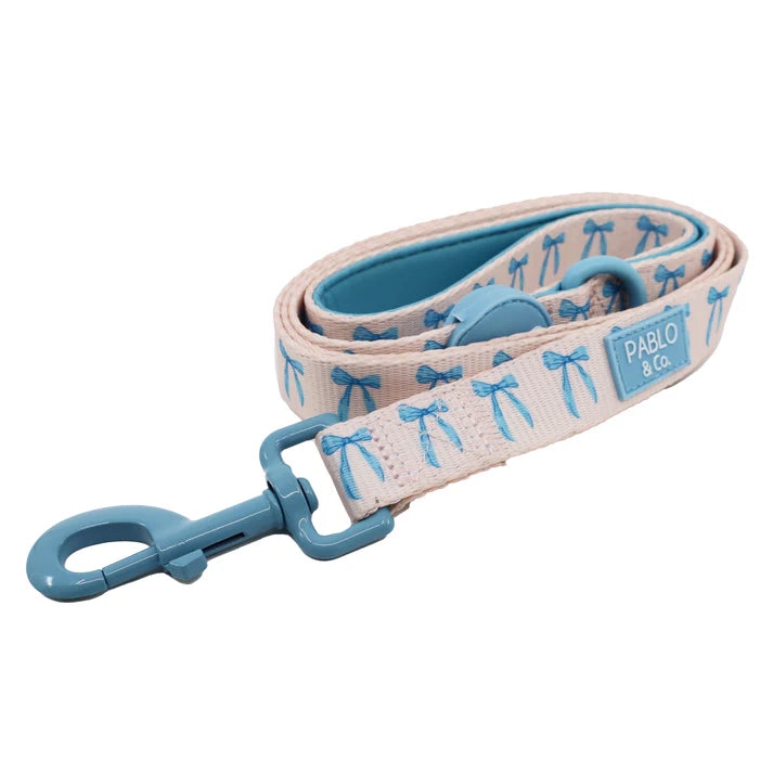 Baby Blue Bows: Dog Leash
