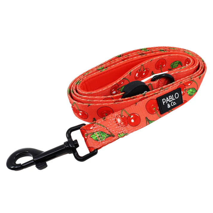 Cherry: Dog Leash