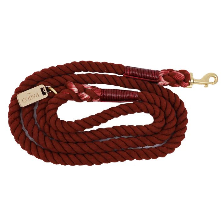 Laisse en corde