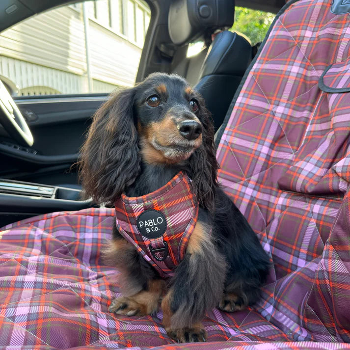 Camilla : Protège siège deluxe.