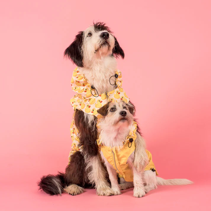 Rubber Ducky : Raincoat
