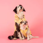 Rubber Ducky : Raincoat