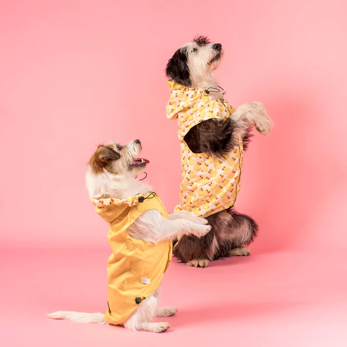 Rubber Ducky : Raincoat