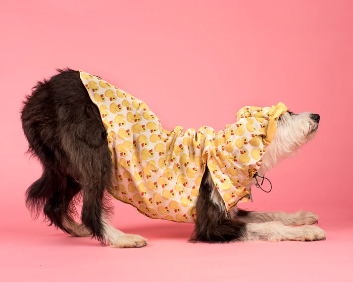 Rubber Ducky : Raincoat