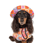 Daisies for days : Dog bucket hat