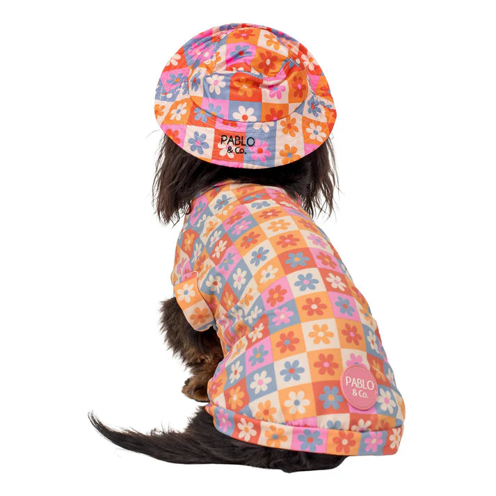 Daisies for days : Dog bucket hat