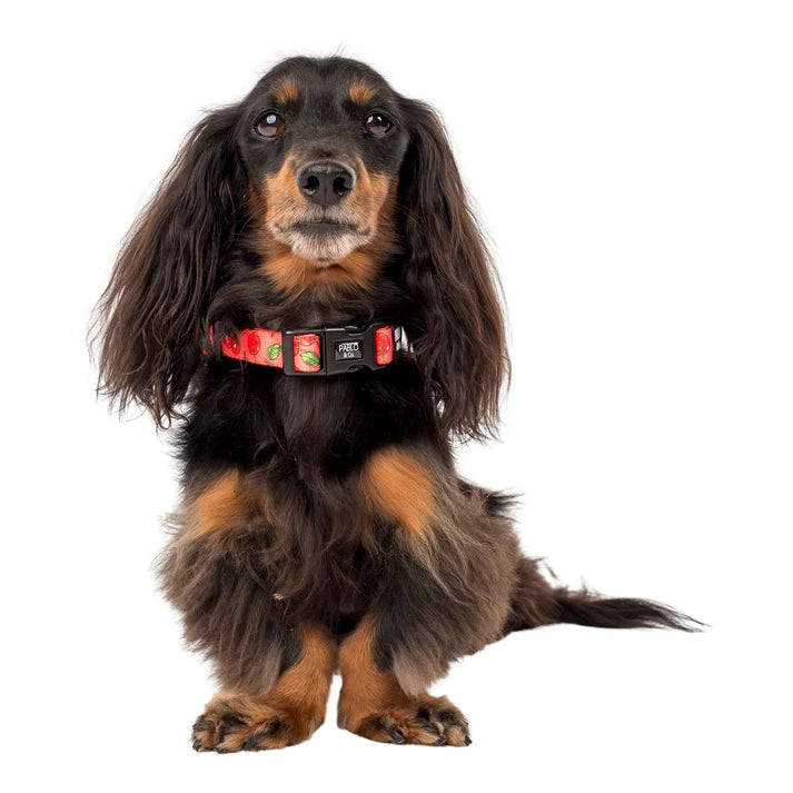 Cherry: Collar