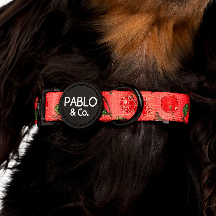 Cherry: Collar