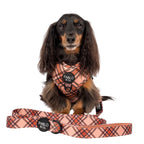 Kensington: Dog Leash