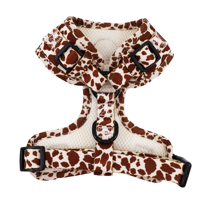 Rodeo: Adjustable Harness