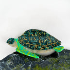 Pince à cheveux tortue verte